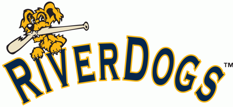 Charleston Riverdogs 2011-2015 Wordmark Logo iron on transfers for T-shirts
